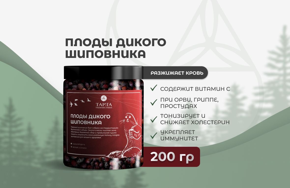 Плоды дикого шиповника — сбор