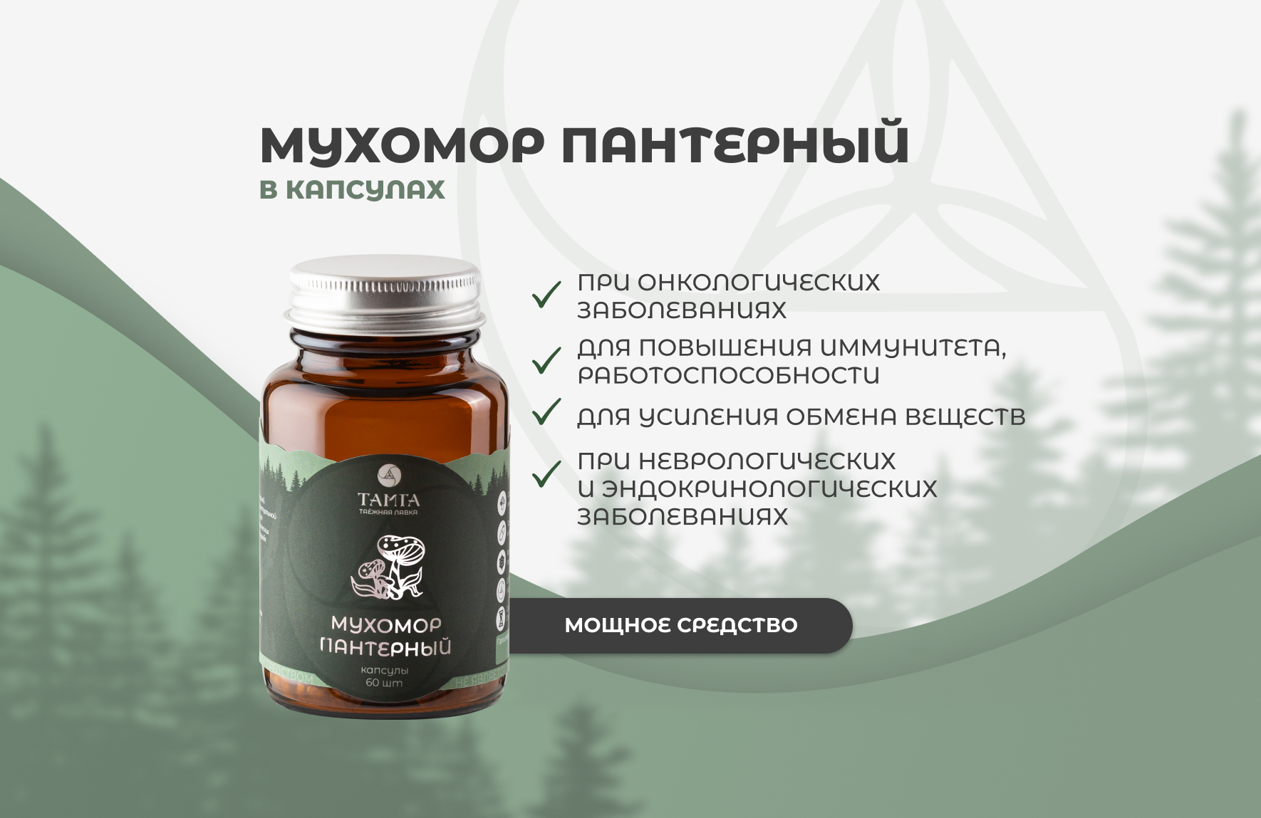 Мухомор пантерный – капсулы